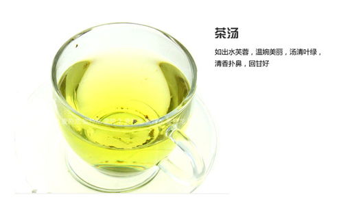 與山共飲，一葉知心——溪源茶葉產品圖賞與意境店鋪設計解析
