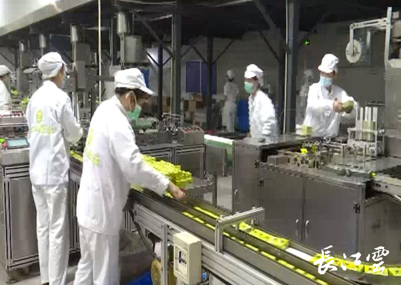 小產區大作為 看隨州茶葉出口如何逆襲?